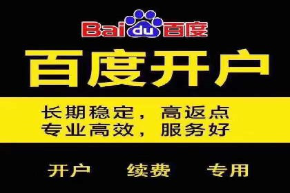 竞价开户推广成功案例解析